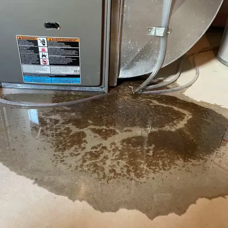 Appliance Leak Cleanup in Carroll County, IA